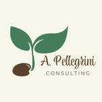 A. Pellegrini Consulting logo