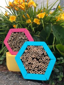 Mason bee houses made by the Non-GMO Project