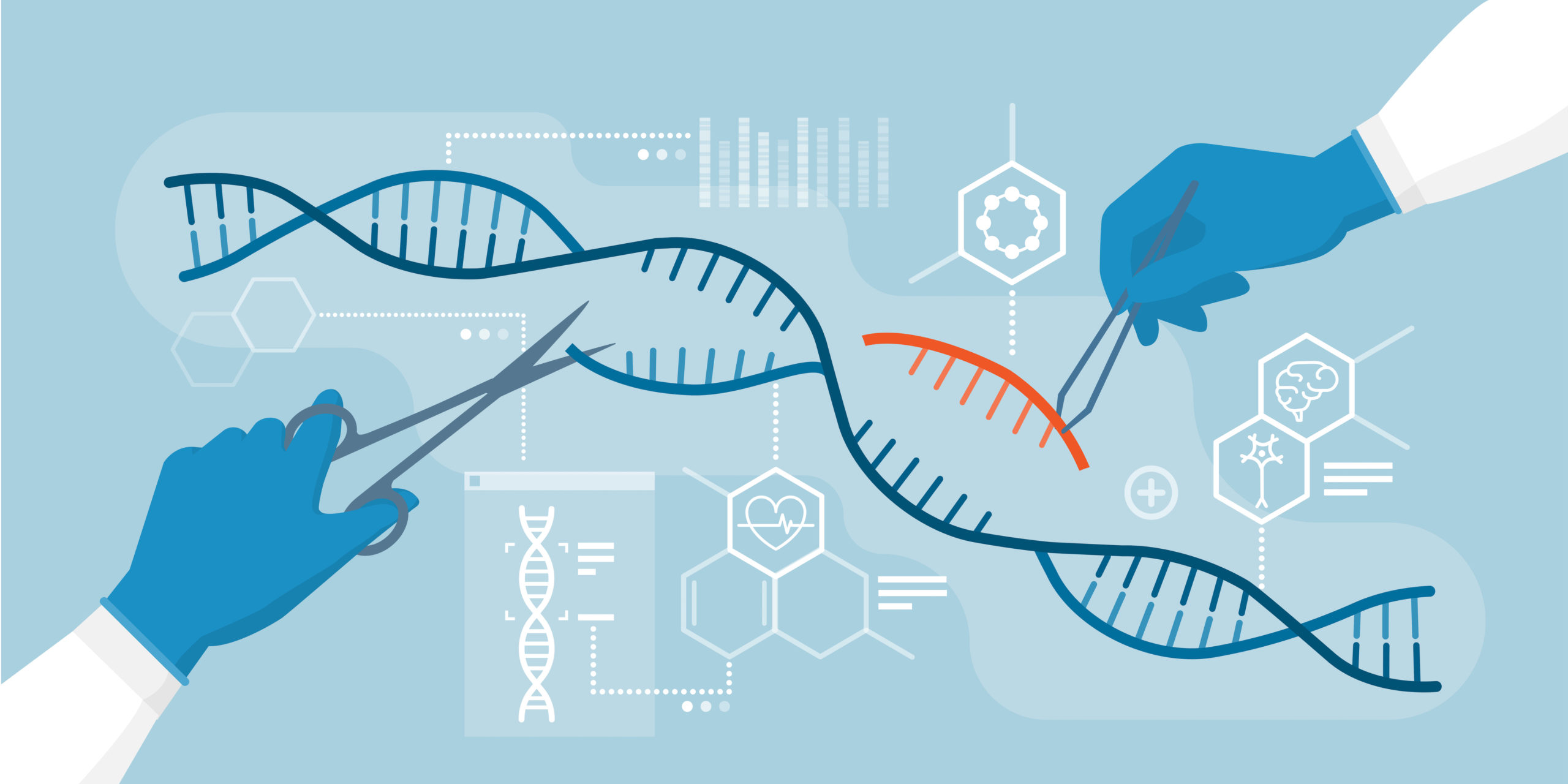 Graphic of Scientists analyzing DNA helix and editing genome within organisms