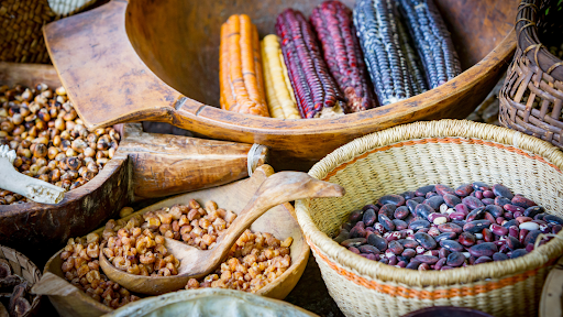 Woven baskets and wooden bowls containing dark red beans and corn kernels, with cobs of yellow, gold, dark red and blue-black corn in the background.