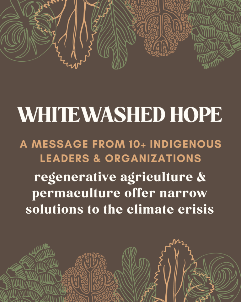Whitewashed Hope: A Message From 10+ Indigenous Leaders and Organizations