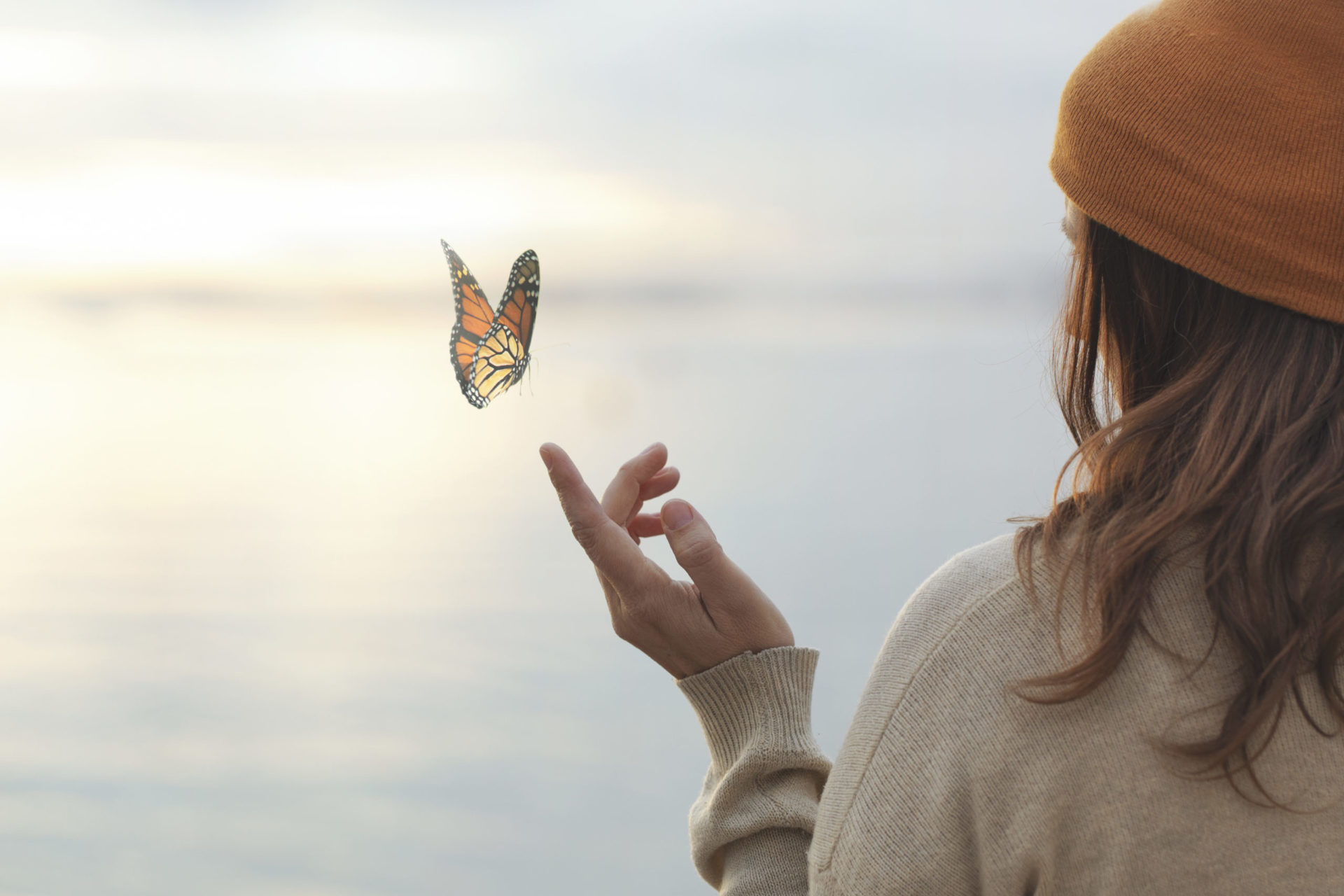 colorful butterfly is landing on a woman's hand
