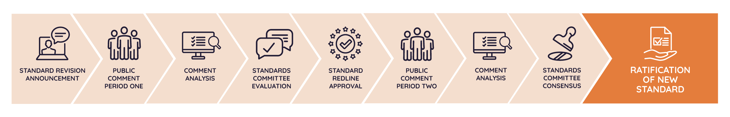 The Standard revision process infographic