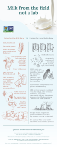 Learn about the Non-GMO Dairy vs. Synbio GMO Dairy process in this infographic