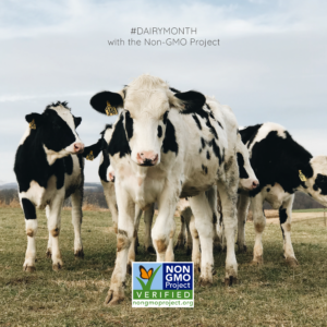 National dairy month social media kit for non-gmo project verified brands