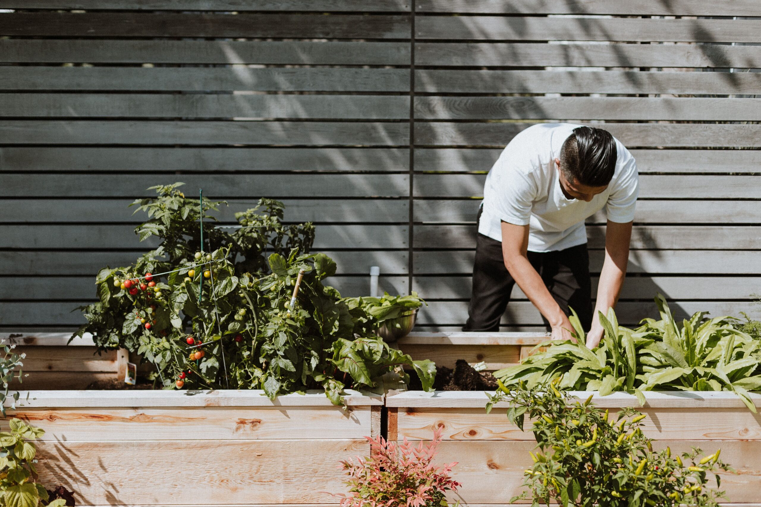 A man bends over his home garden