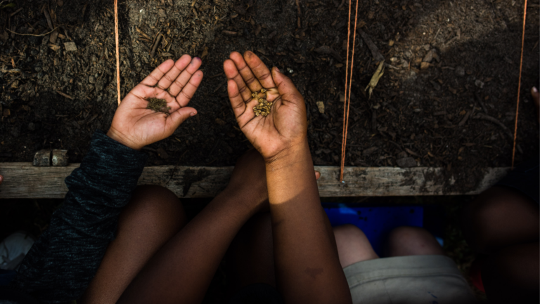 The Seed You Need: A Gardening Glossary
