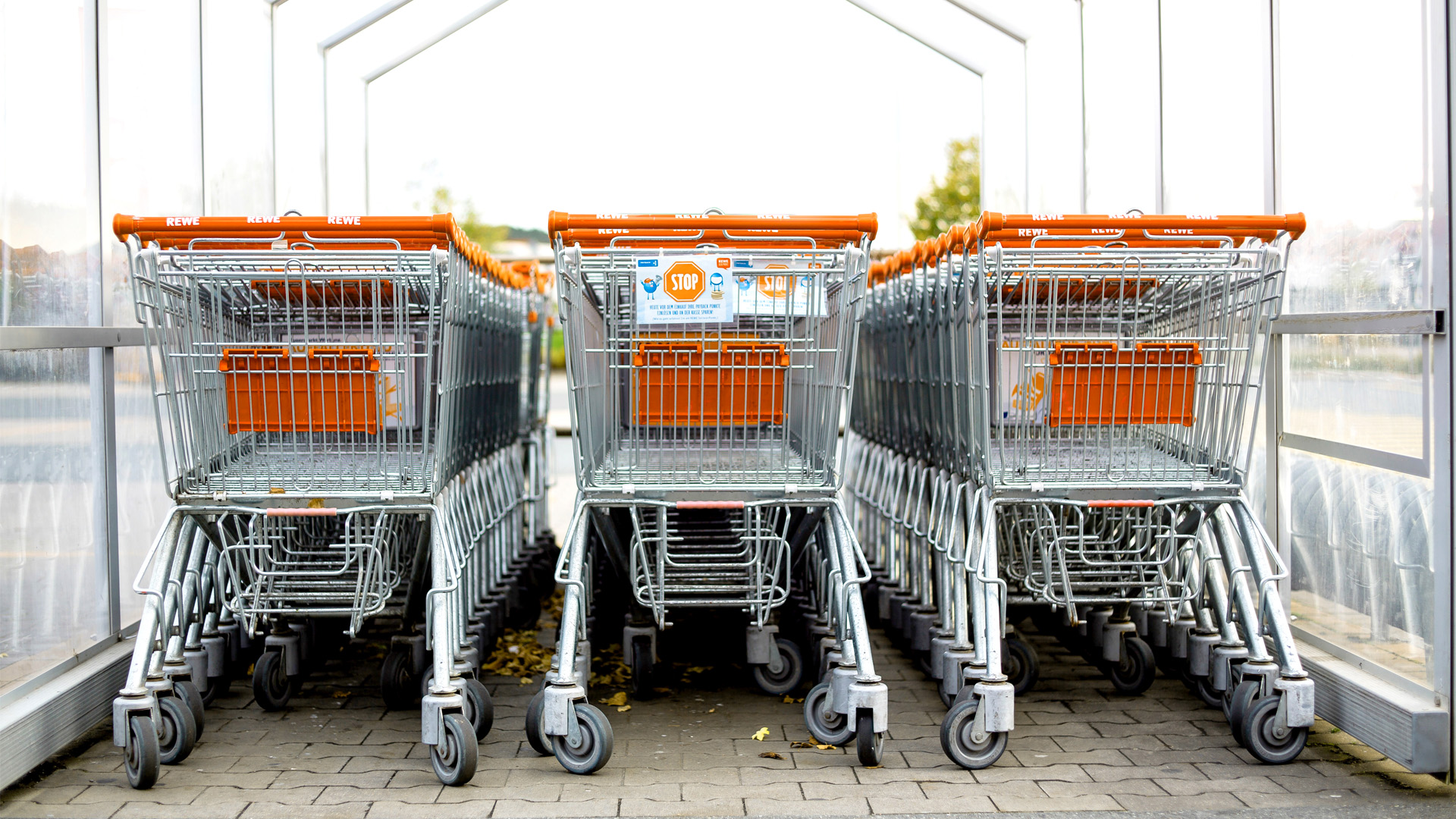 lined orange shopping carts