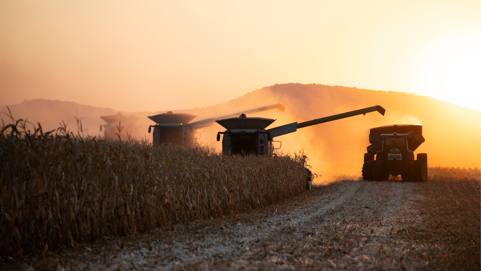 Industrial farming machinery in a corn field with mountains in the backdrop