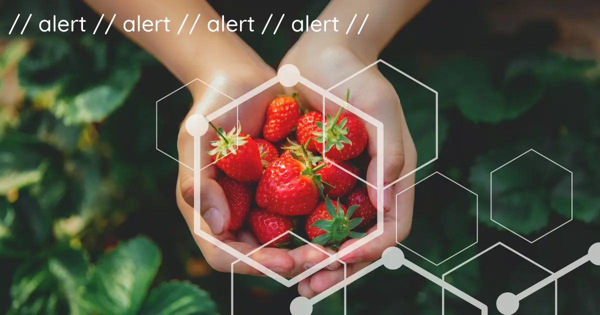 A pair of cupped hands holding ripe, red strawberries, with the word "alert" and a hexagonal pattern displayed over the image.