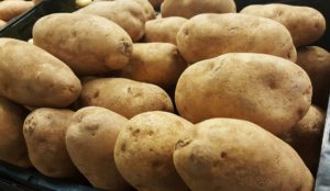 Russet potatoes