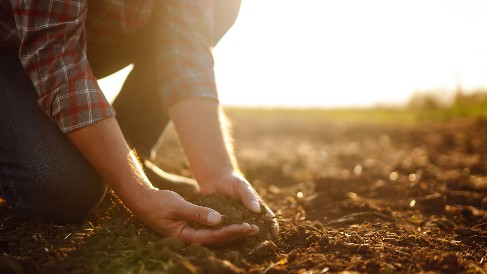 A man grabbing soil from the ground in his hands