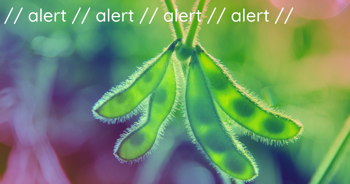 A soybean plant with the repeated text "alert, alert, alert" displayed prominently above it.