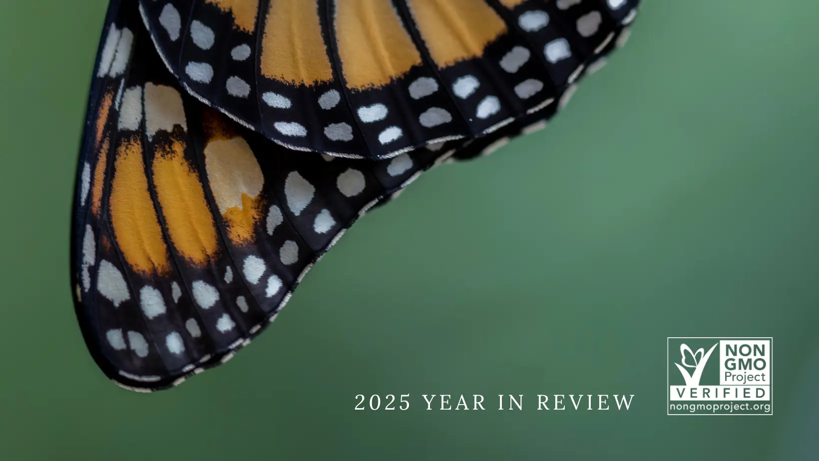 Close up of a Monarch butterfly's wings, with the Non-GMO Project logo and "2025 Year in Review" in bottom right corner.